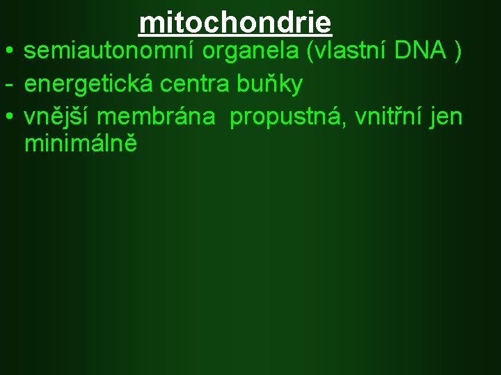 mitochondrie • semiautonomní organela (vlastní DNA ) - energetická centra buňky • vnější membrána