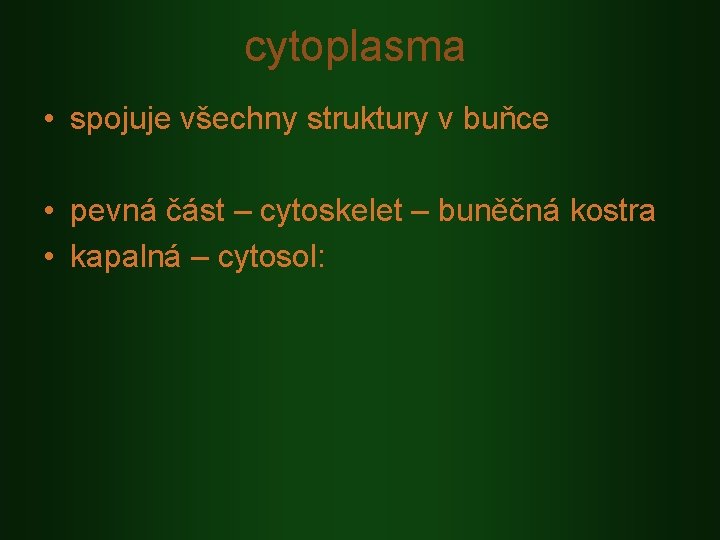 cytoplasma • spojuje všechny struktury v buňce • pevná část – cytoskelet – buněčná