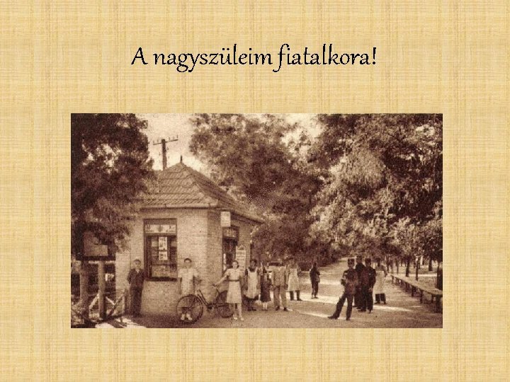 A nagyszüleim fiatalkora! 