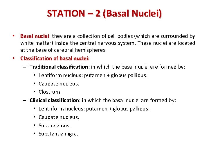 STATION – 2 (Basal Nuclei) • Basal nuclei: nuclei they are a collection of