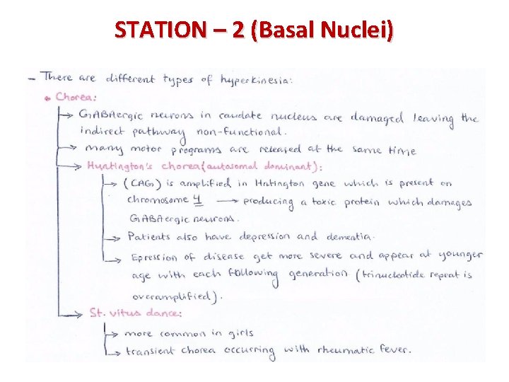 STATION – 2 (Basal Nuclei) 