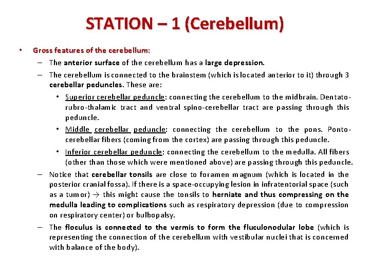 STATION – 1 (Cerebellum) • Gross features of the cerebellum: – The anterior surface