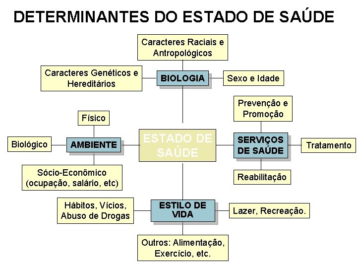 DETERMINANTES DO ESTADO DE SAÚDE Caracteres Raciais e Antropológicos Caracteres Genéticos e Hereditários BIOLOGIA