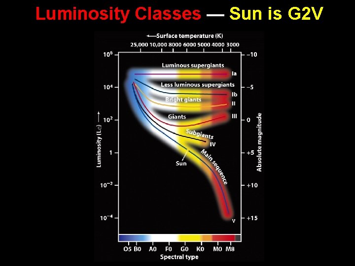 Luminosity Classes — Sun is G 2 V 