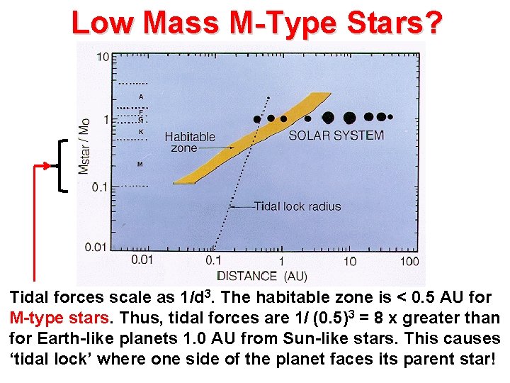 Low Mass M-Type Stars? Tidal forces scale as 1/d 3. The habitable zone is