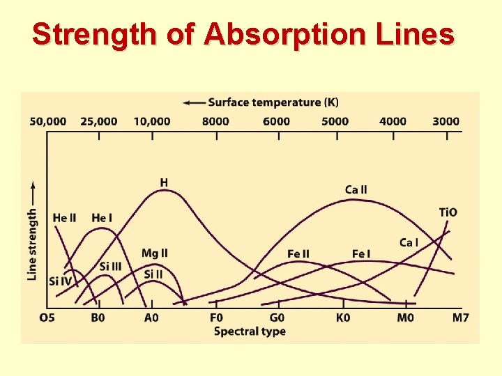 Strength of Absorption Lines 
