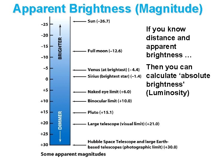 Apparent Brightness (Magnitude) If you know distance and apparent brightness … Then you can