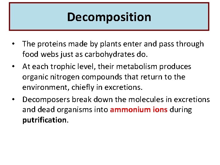 Decomposition • The proteins made by plants enter and pass through food webs just