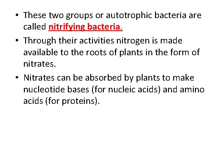  • These two groups or autotrophic bacteria are called nitrifying bacteria. • Through