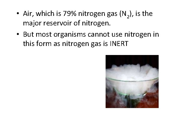  • Air, which is 79% nitrogen gas (N 2), is the major reservoir