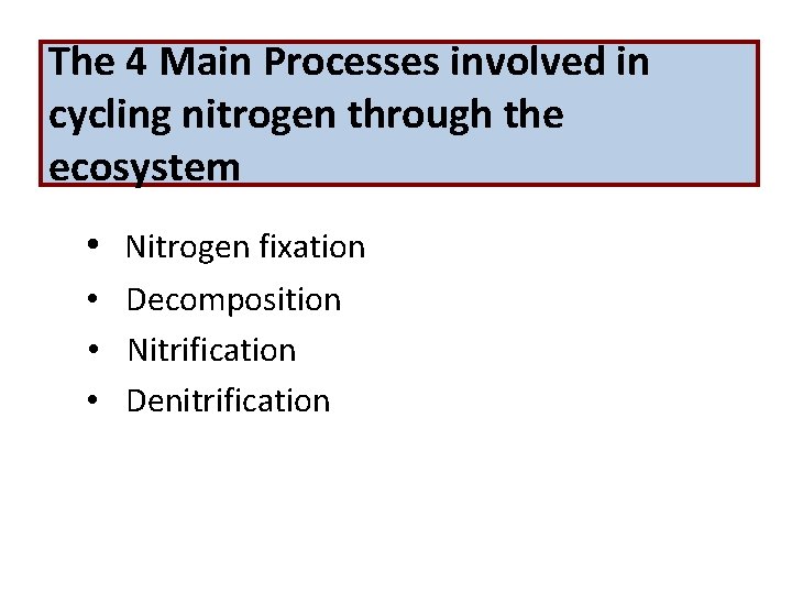 The 4 Main Processes involved in cycling nitrogen through the ecosystem • Nitrogen fixation