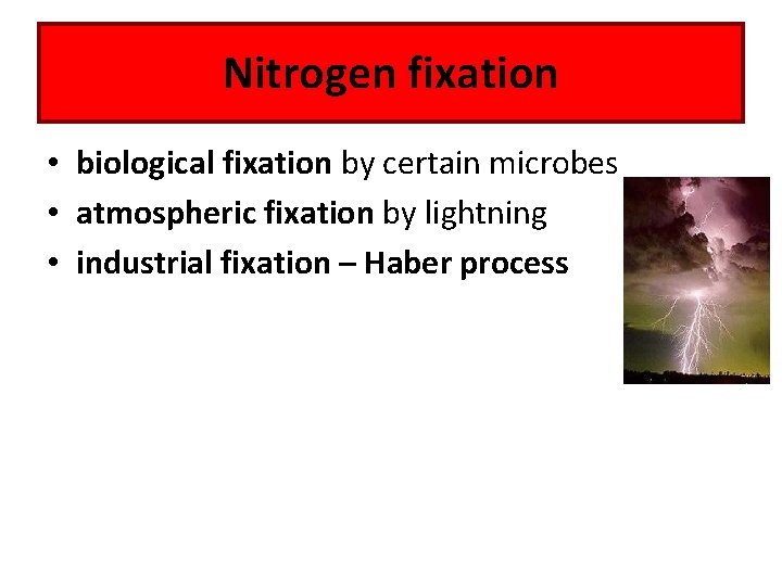 Nitrogen fixation • biological fixation by certain microbes • atmospheric fixation by lightning •