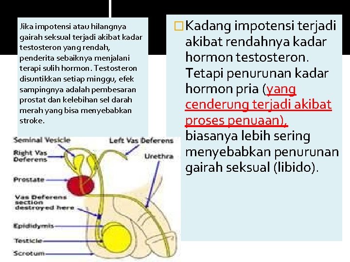 Jika impotensi atau hilangnya gairah seksual terjadi akibat kadar testosteron yang rendah, penderita sebaiknya