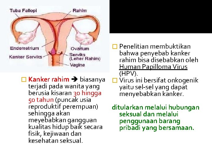 � Penelitian membuktikan bahwa penyebab kanker rahim bisa disebabkan oleh Human Papilloma Virus (HPV).
