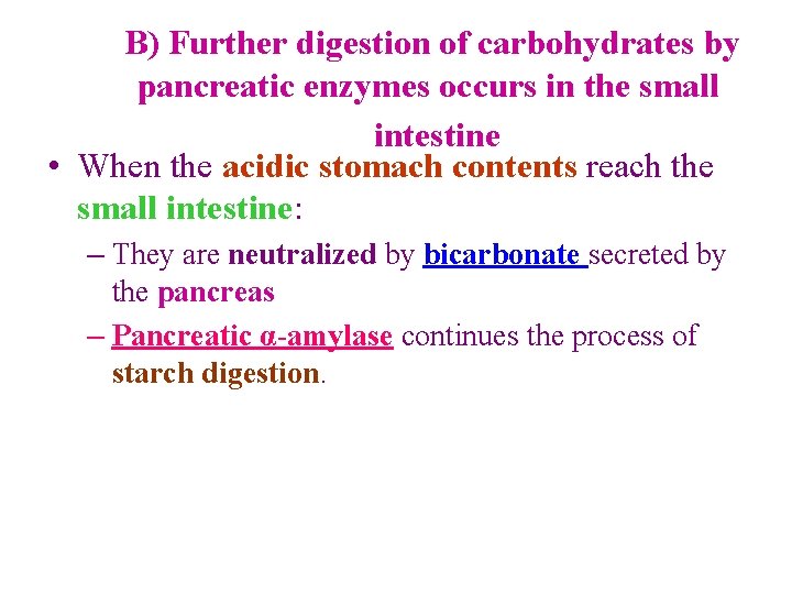 B) Further digestion of carbohydrates by pancreatic enzymes occurs in the small intestine •