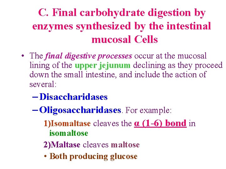 C. Final carbohydrate digestion by enzymes synthesized by the intestinal mucosal Cells • The