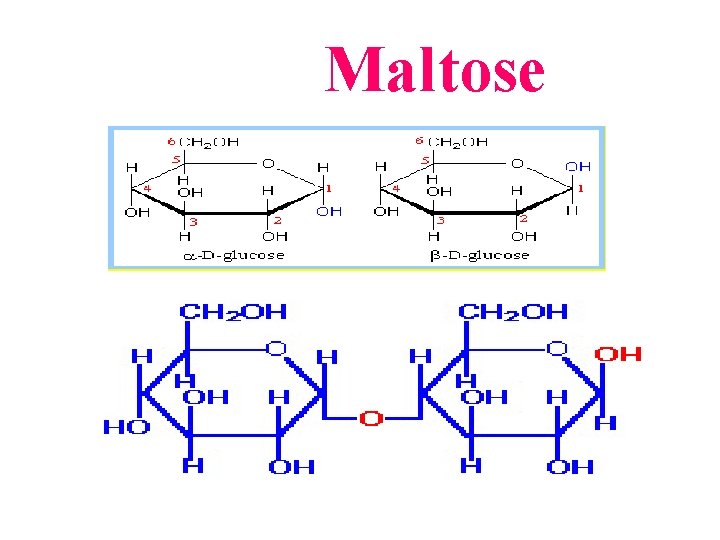 Maltose 