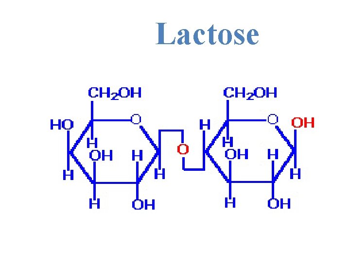  Lactose 