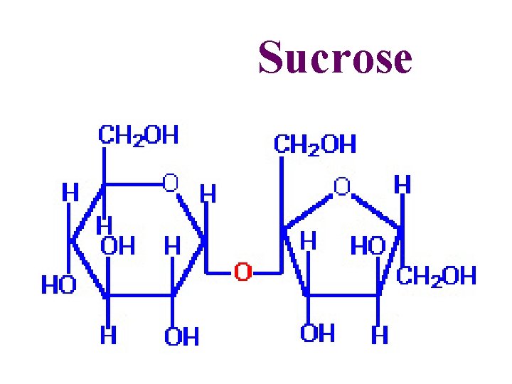 Sucrose 