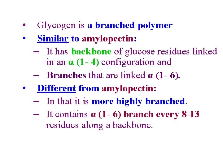  • • Glycogen is a branched polymer Similar to amylopectin: – It has