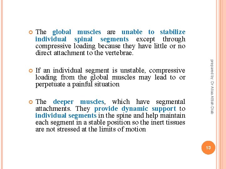 The global muscles are unable to stabilize individual spinal segments except through compressive loading