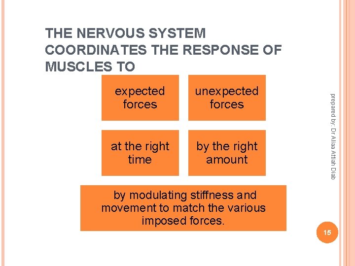 THE NERVOUS SYSTEM COORDINATES THE RESPONSE OF MUSCLES TO unexpected forces at the right