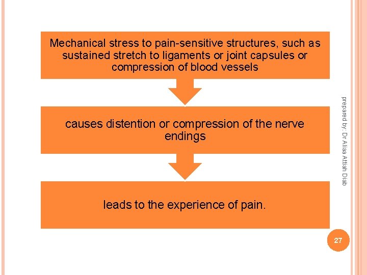 Mechanical stress to pain-sensitive structures, such as sustained stretch to ligaments or joint capsules