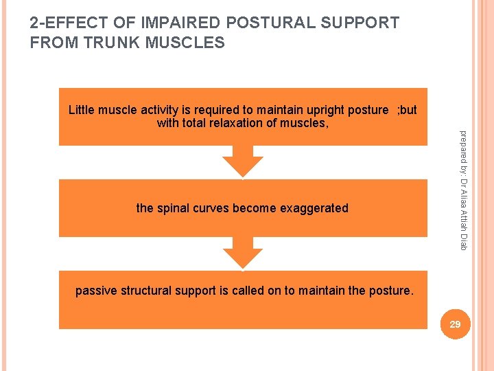 2 -EFFECT OF IMPAIRED POSTURAL SUPPORT FROM TRUNK MUSCLES Little muscle activity is required