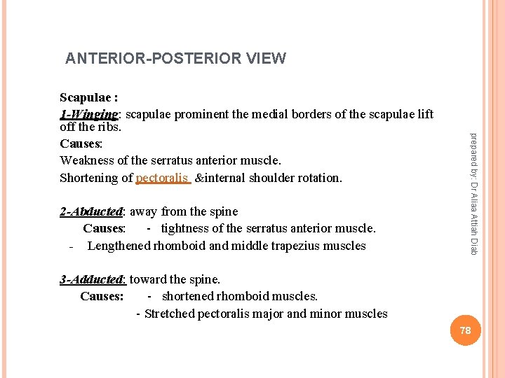 ANTERIOR-POSTERIOR VIEW prepared by: Dr Aliaa Attiah Diab Scapulae : 1 -Winging: scapulae prominent