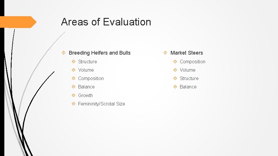Areas of Evaluation Breeding Heifers and Bulls Market Steers Structure Composition Volume Composition Structure