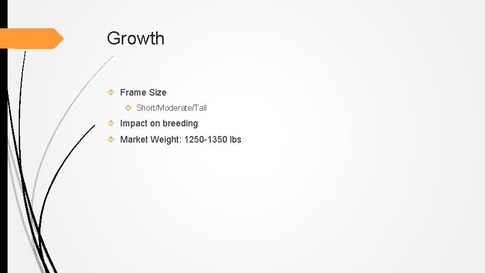 Growth Frame Size Short/Moderate/Tall Impact on breeding Market Weight: 1250 -1350 lbs 