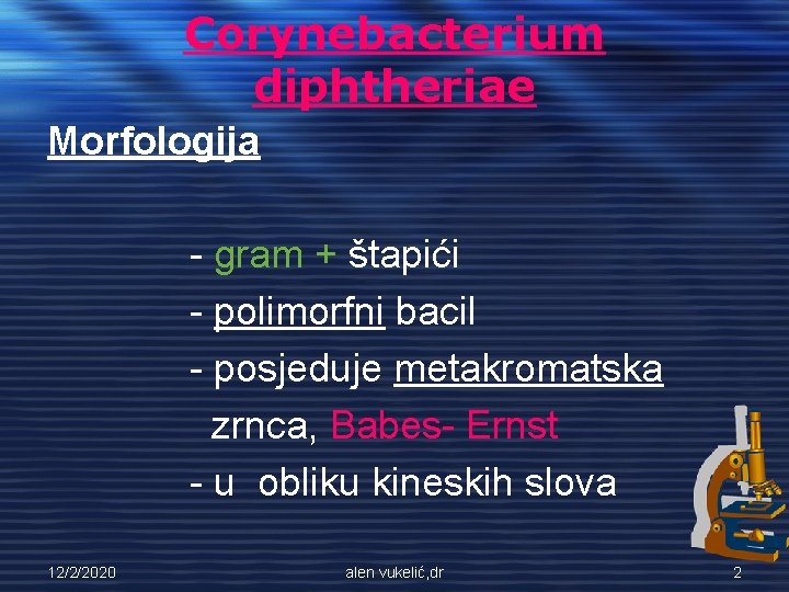 Corynebacterium diphtheriae Morfologija - gram + štapići - polimorfni bacil - posjeduje metakromatska zrnca,