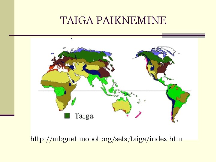 TAIGA PAIKNEMINE http: //mbgnet. mobot. org/sets/taiga/index. htm 