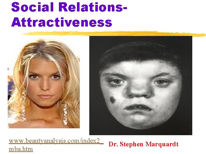 Social Relations. Attractiveness www. beautyanalysis. com/index 2_ Dr. Stephen Marquardt mba. htm 