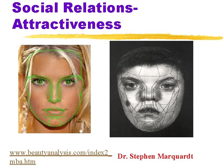 Social Relations. Attractiveness www. beautyanalysis. com/index 2_ Dr. Stephen Marquardt mba. htm 