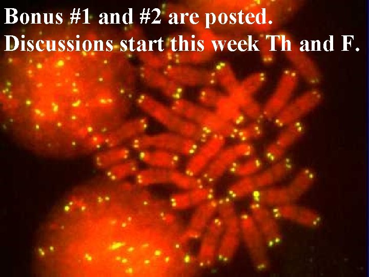 Bonus #1 and #2 are posted. Discussions start this week Th and F. 