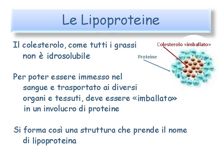 Le Lipoproteine Colesterolo «imballato» Il colesterolo, come tutti i grassi non è idrosolubile Proteine