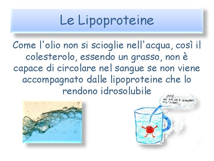 Le Lipoproteine Come l'olio non si scioglie nell'acqua, così il colesterolo, essendo un grasso,