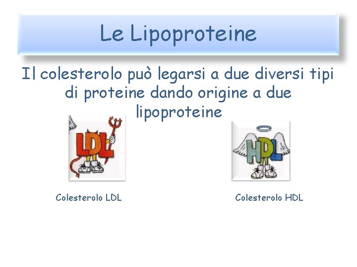 Le Lipoproteine Il colesterolo può legarsi a due diversi tipi di proteine dando origine