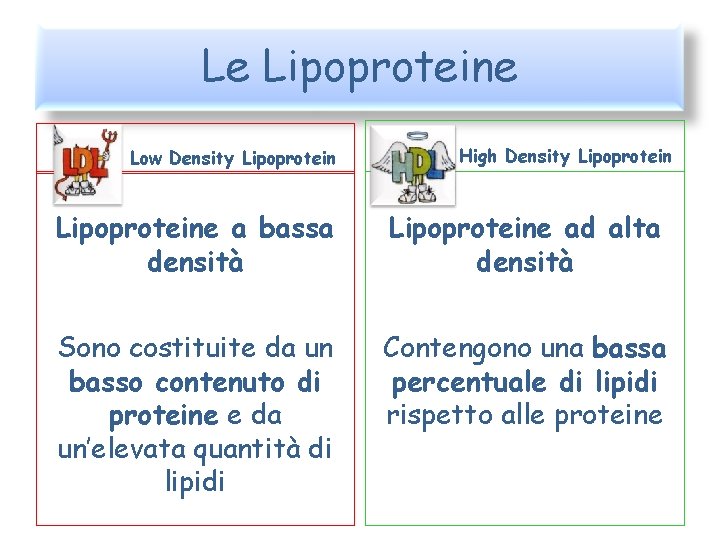 Le Lipoproteine Low Density Lipoprotein High Density Lipoproteine a bassa densità Lipoproteine ad alta