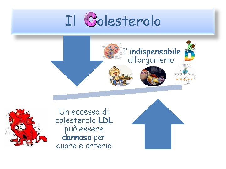 Il olesterolo E’ indispensabile all’organismo Un eccesso di colesterolo LDL può essere dannoso per