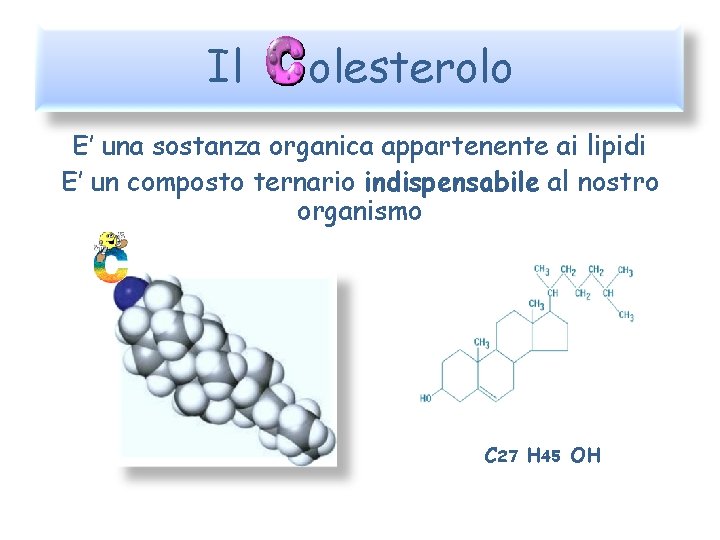 Il olesterolo E’ una sostanza organica appartenente ai lipidi E’ un composto ternario indispensabile