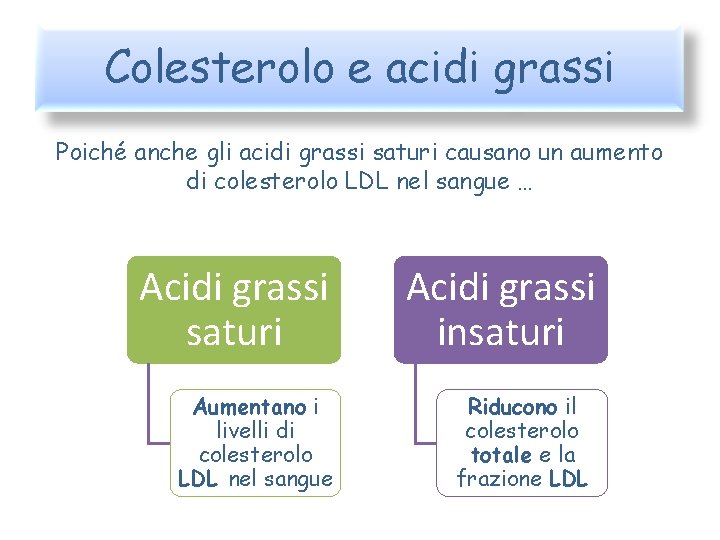 Colesterolo e acidi grassi Poiché anche gli acidi grassi saturi causano un aumento di