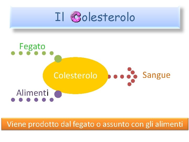 Il olesterolo Fegato Colesterolo Sangue Alimenti Viene prodotto dal fegato o assunto con gli