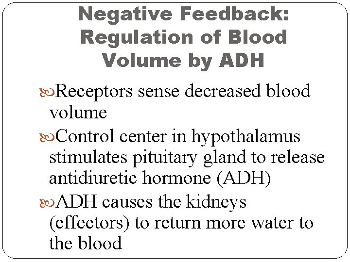 Negative Feedback: Regulation of Blood Volume by ADH Receptors sense decreased blood volume Control Negative Feedback: Regulation of Blood Volume by ADH Receptors sense decreased blood volume Control
