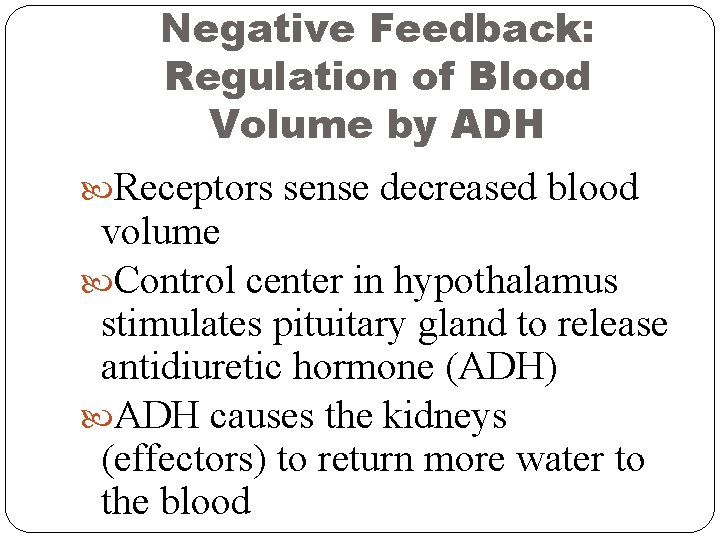 Negative Feedback: Regulation of Blood Volume by ADH Receptors sense decreased blood volume Control