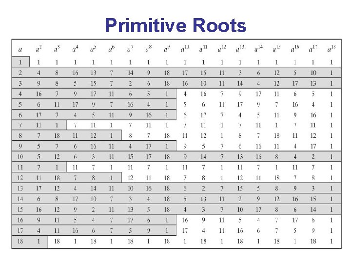 Primitive Roots 