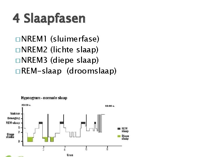 4 Slaapfasen � NREM 1 (sluimerfase) � NREM 2 (lichte slaap) � NREM 3