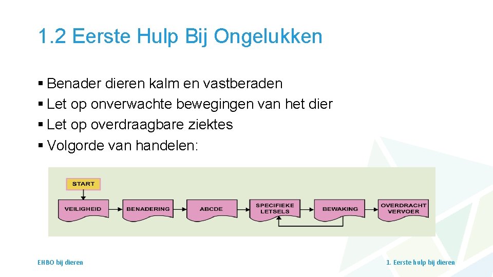 1. 2 Eerste Hulp Bij Ongelukken § Benader dieren kalm en vastberaden § Let