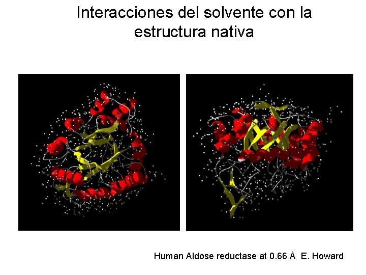 Interacciones del solvente con la estructura nativa Human Aldose reductase at 0. 66 Å